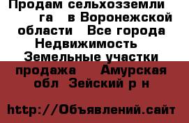 Продам сельхозземли ( 6 000 га ) в Воронежской области - Все города Недвижимость » Земельные участки продажа   . Амурская обл.,Зейский р-н